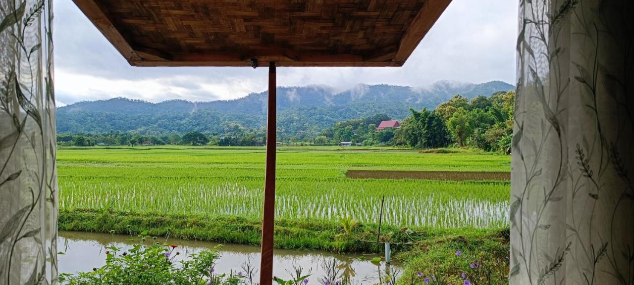 Kaewma Farmstay Khuang Kom Экстерьер фото