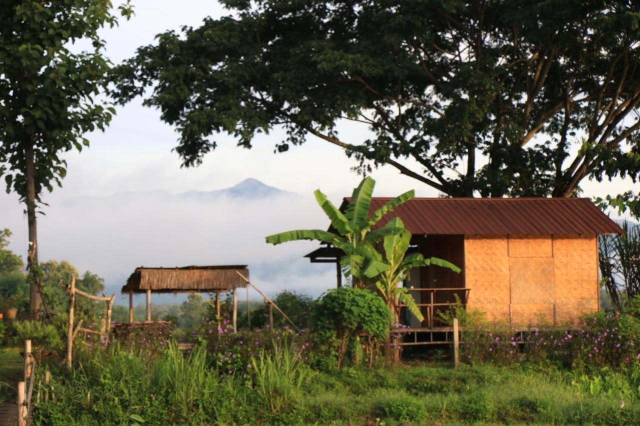 Kaewma Farmstay Khuang Kom Экстерьер фото