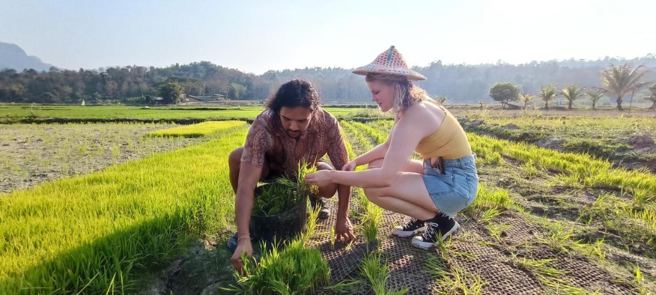 Kaewma Farmstay Khuang Kom Экстерьер фото