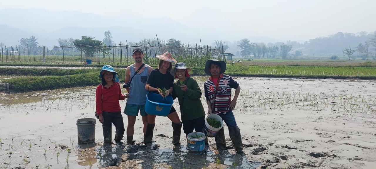Kaewma Farmstay Khuang Kom Экстерьер фото