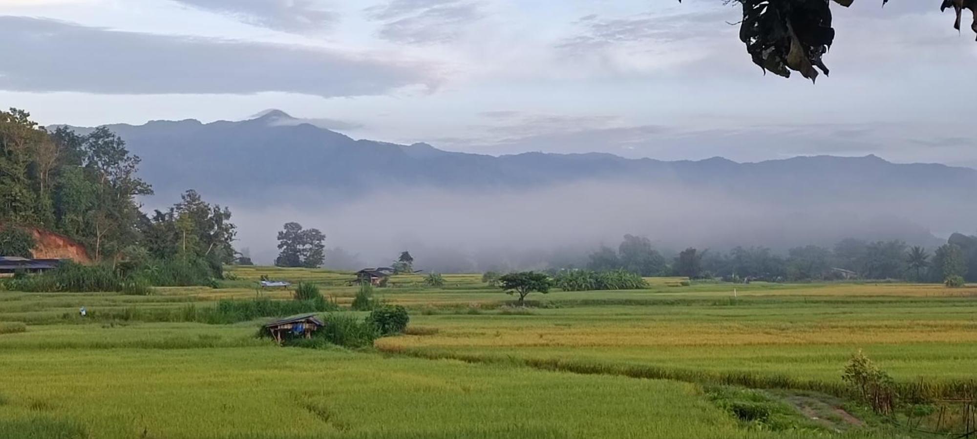 Kaewma Farmstay Khuang Kom Экстерьер фото
