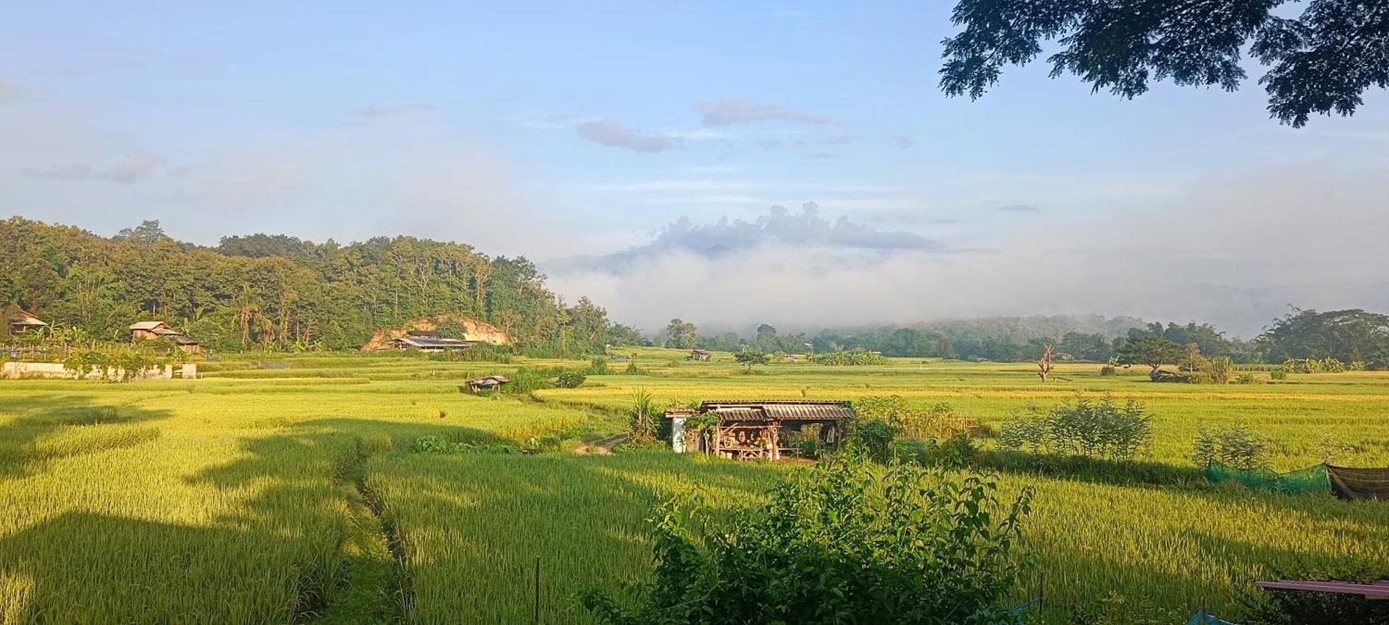 Kaewma Farmstay Khuang Kom Номер фото
