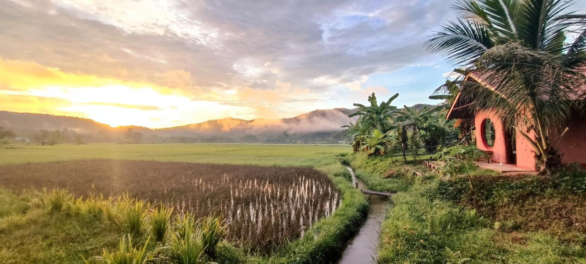 Kaewma Farmstay Khuang Kom Номер фото